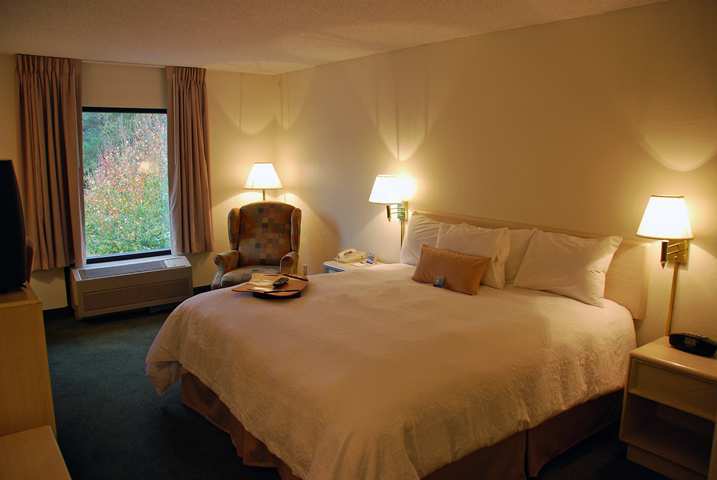 Jameson Inn Of The Golden Isles- Brunswick Værelse billede